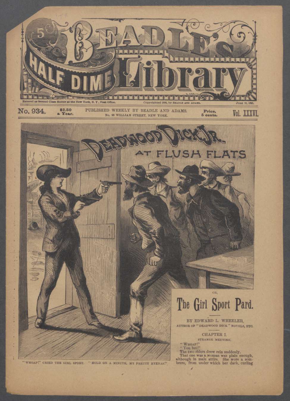 Book Cover For Beadle's Half Dime Library 934 - Deadwood Dick Jr. at Flush Flats