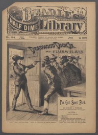 Large Thumbnail For Beadle's Half Dime Library 934 - Deadwood Dick Jr. at Flush Flats