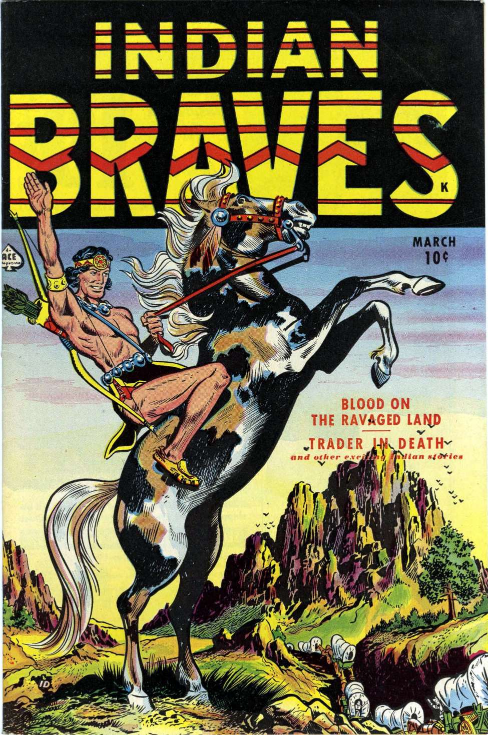 Book Cover For Indian Braves 1