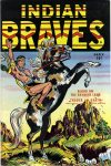 Cover For Indian Braves 1