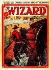 Cover For The Wizard 771