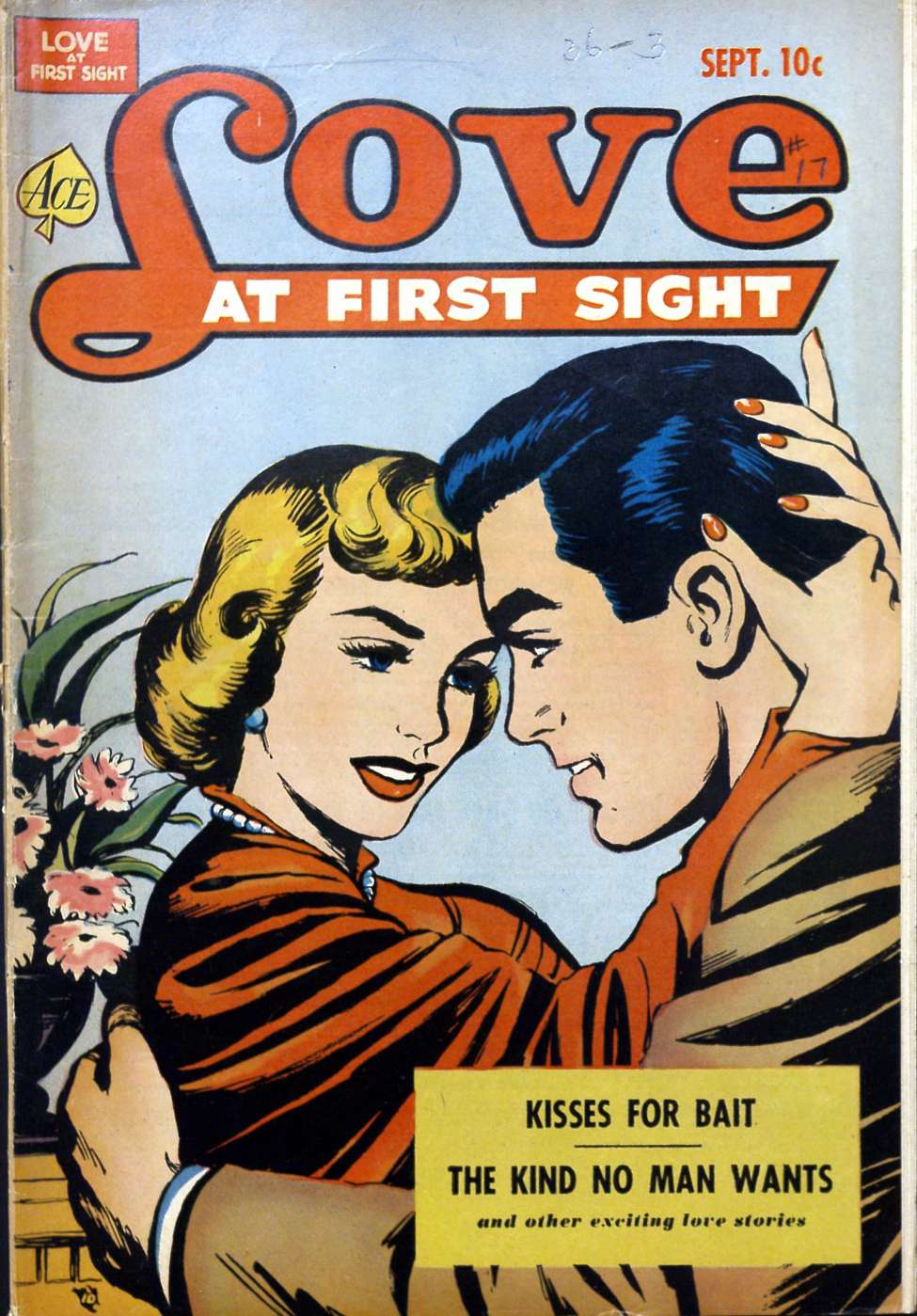 Comic Book Cover For Love at First Sight 17