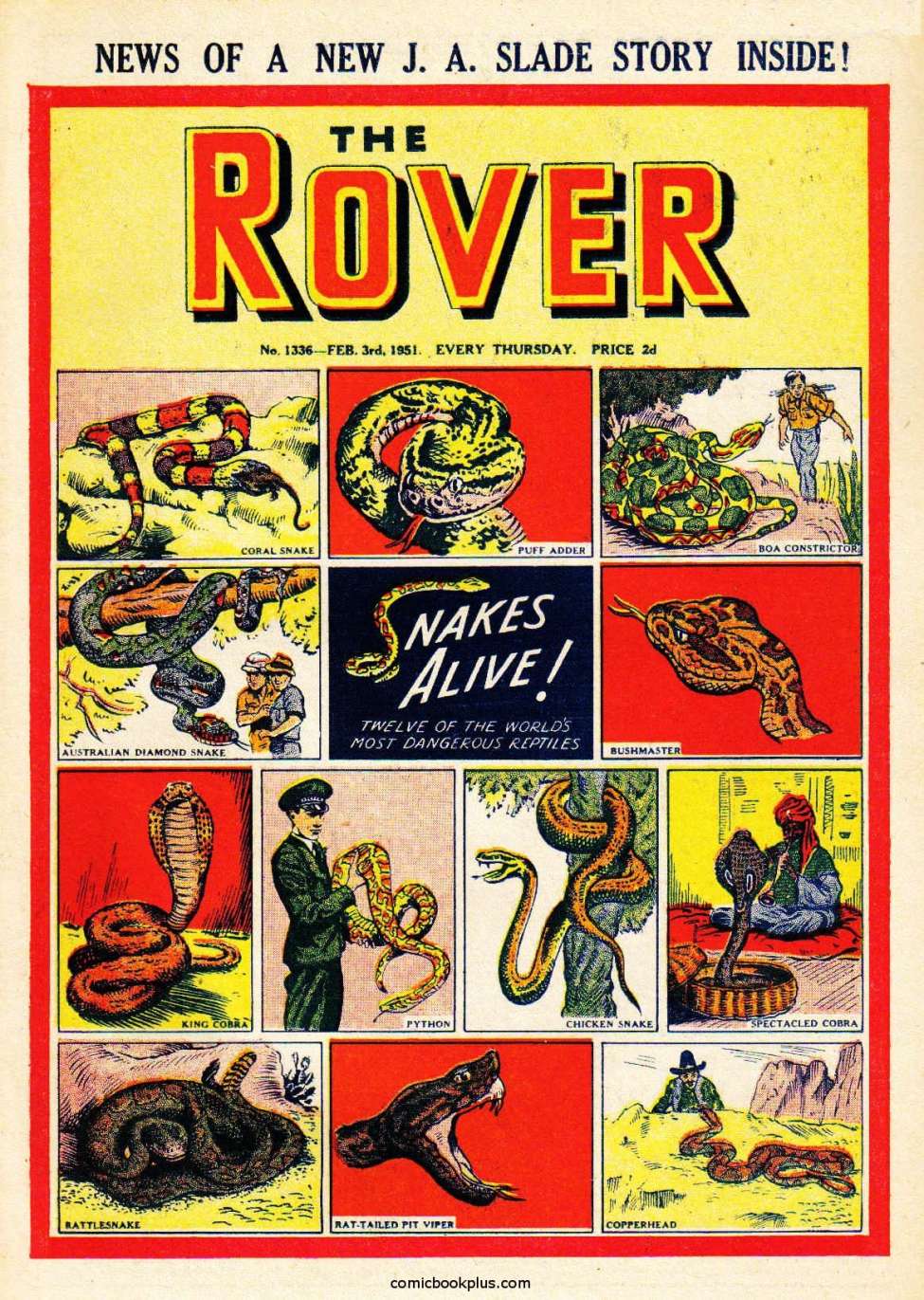 Book Cover For The Rover 1336
