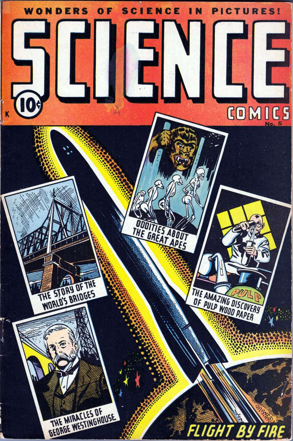 Book Cover For Science Comics 5