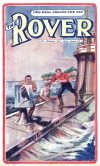 Cover For The Rover 35