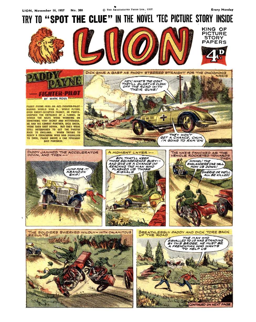 Book Cover For Lion 300