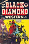 Cover For Black Diamond Western 28