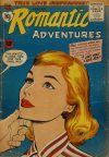 Cover For My Romantic Adventures 83