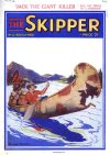 Cover For The Skipper 12