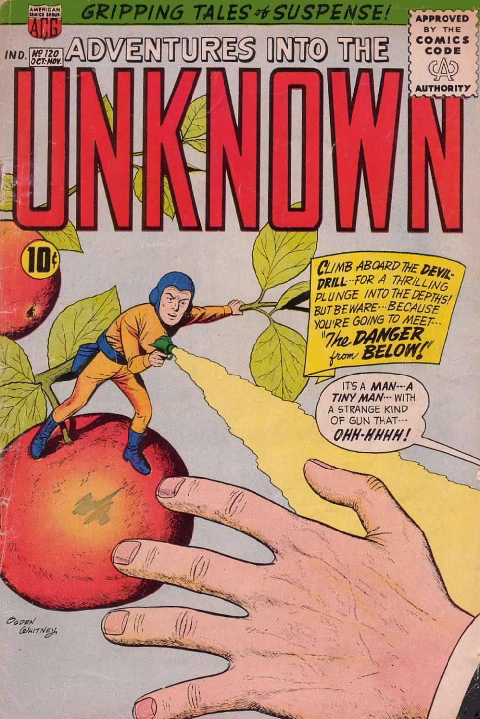 Book Cover For Adventures into the Unknown 120