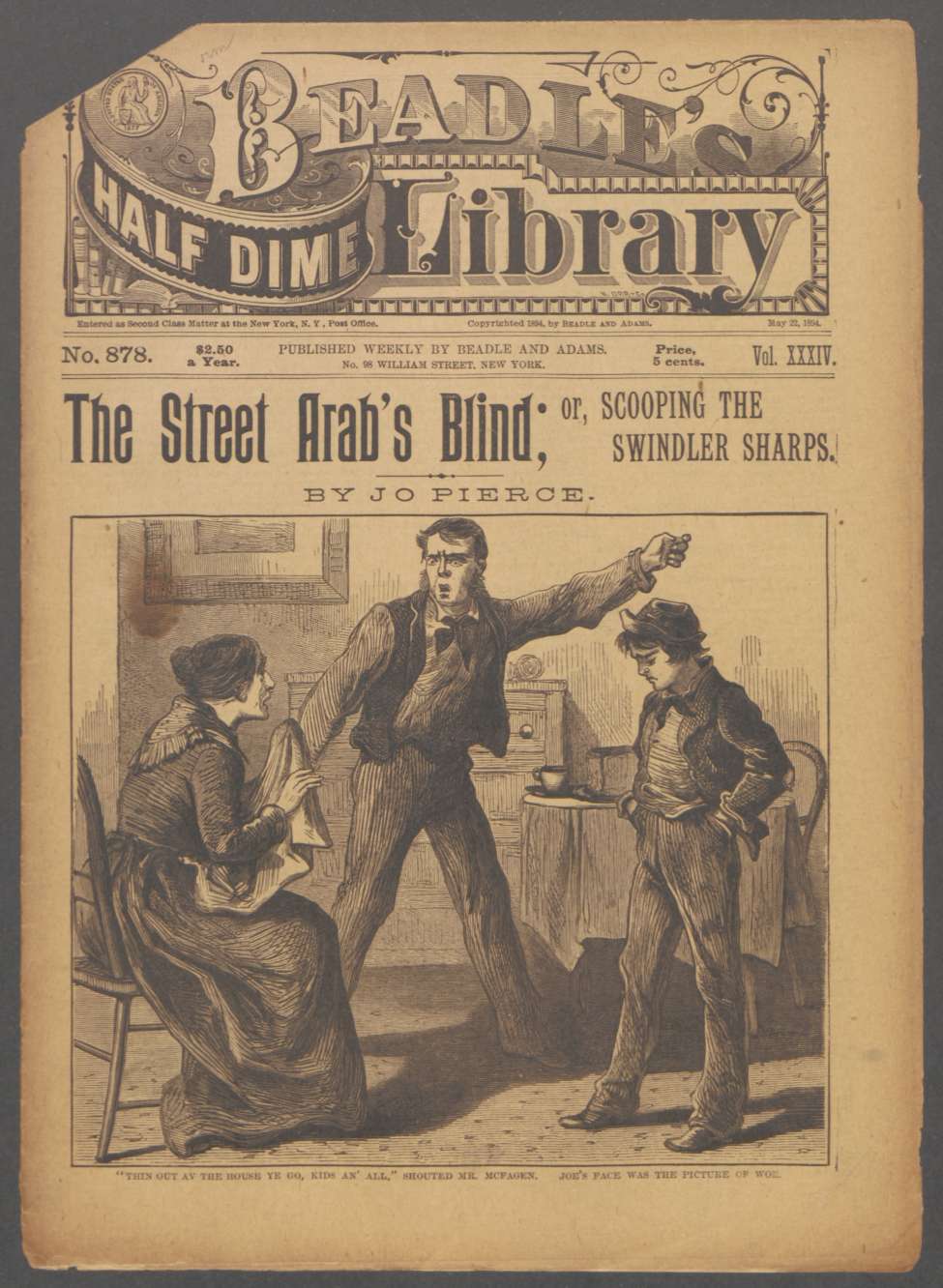 Book Cover For Beadle's Half Dime Library 878 - The Street Arab's Blind