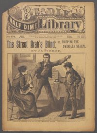 Large Thumbnail For Beadle's Half Dime Library 878 - The Street Arab's Blind