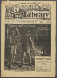 Large Thumbnail For Beadle's Half Dime Library 624 - Deadwood Dick Jr. in Nevada