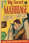 Cover For My Secret Marriage 16