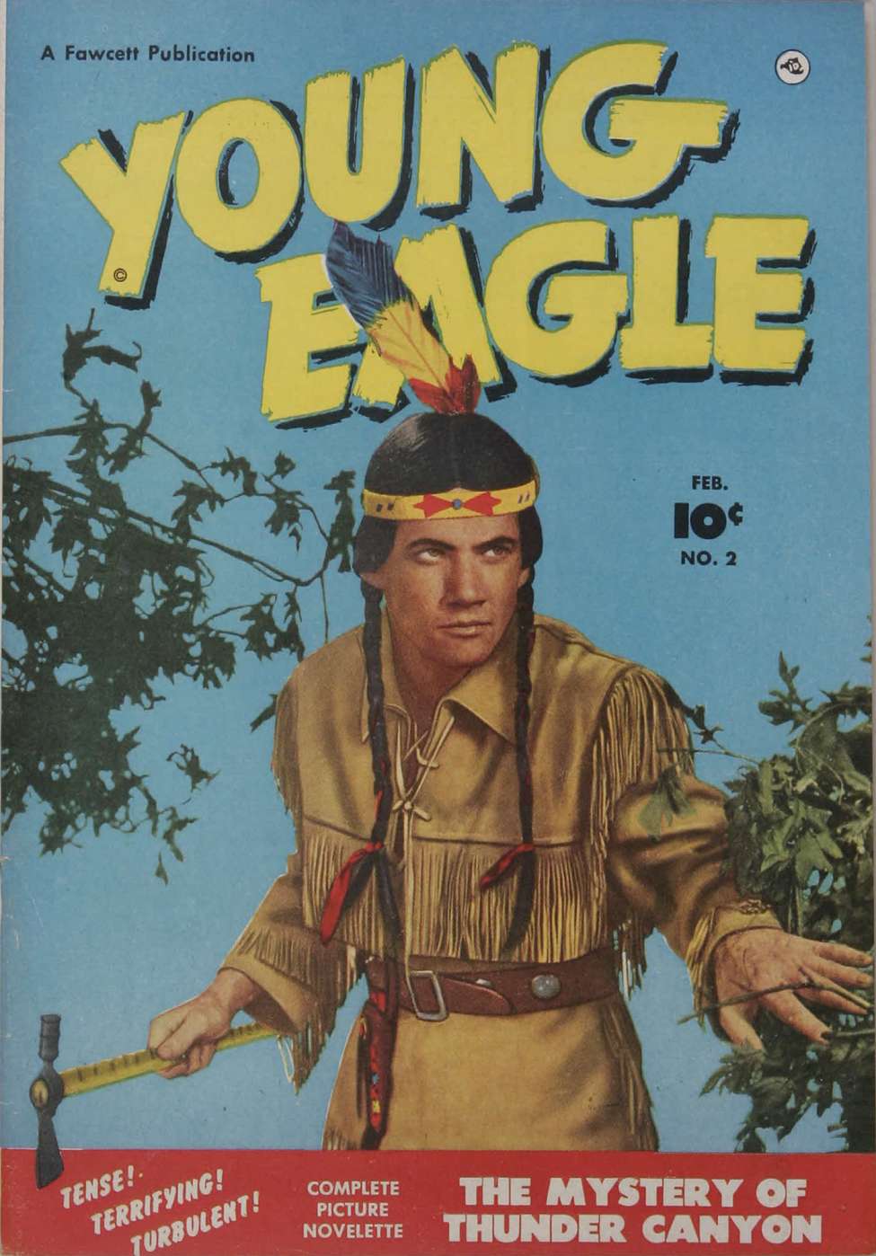 Book Cover For Young Eagle 2