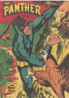 Cover For The Panther 45