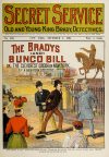 Cover For Secret Service 146 - The Bradys and Bunco Bill