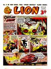 Cover For Lion 2