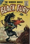 Cover For Black Fury 4