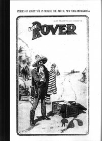 Large Thumbnail For The Rover 506