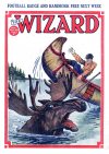 Cover For The Wizard 561