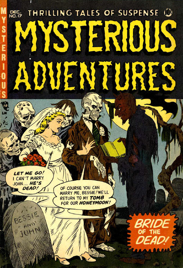 Book Cover For Mysterious Adventures 17