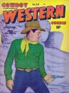 Cover For Cowboy Western 24