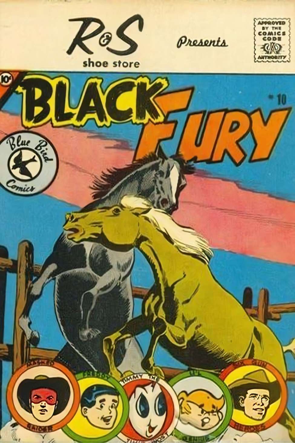 Book Cover For Black Fury 10 (Blue Bird)