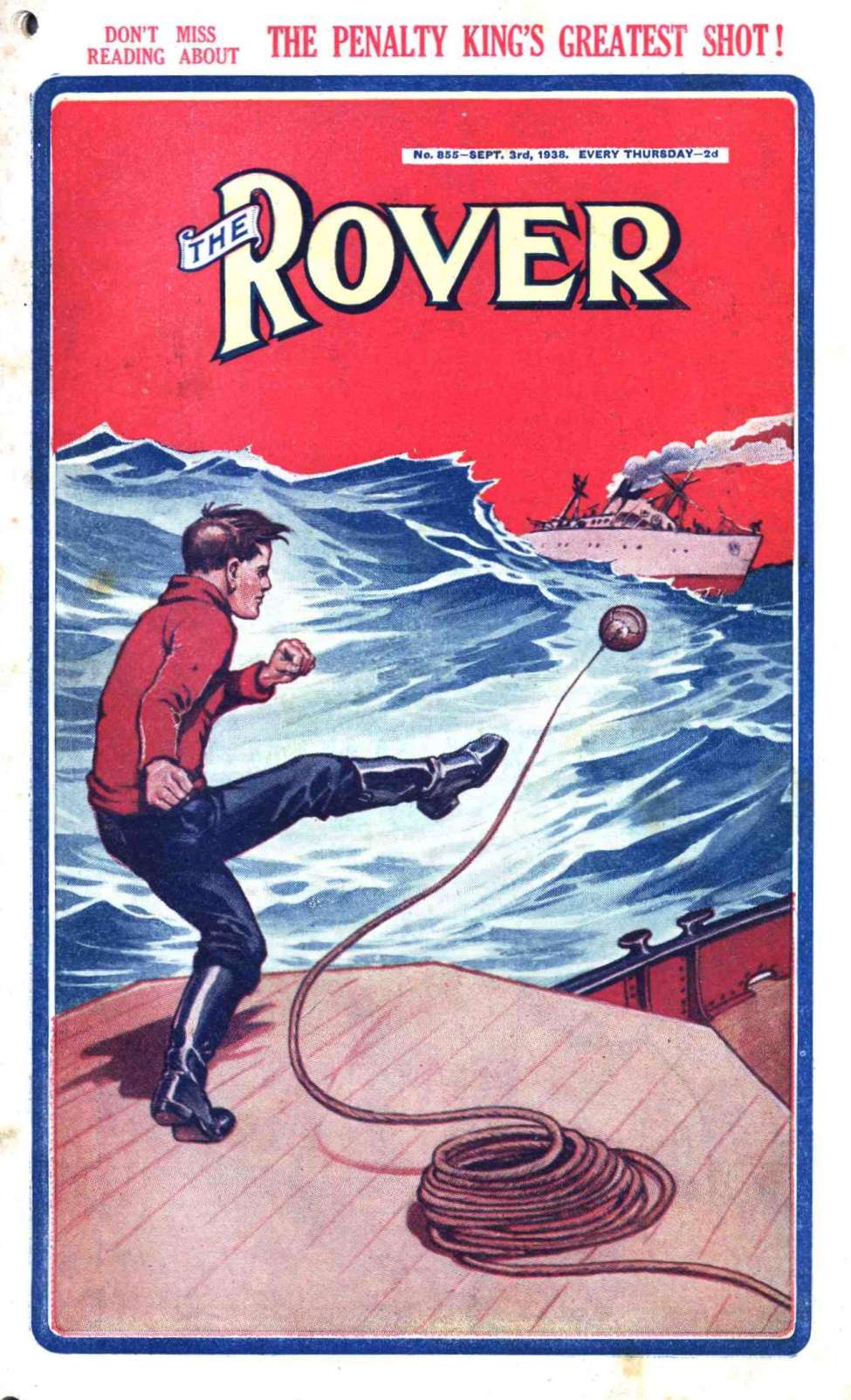 Book Cover For The Rover 855