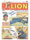 Cover For Lion 433