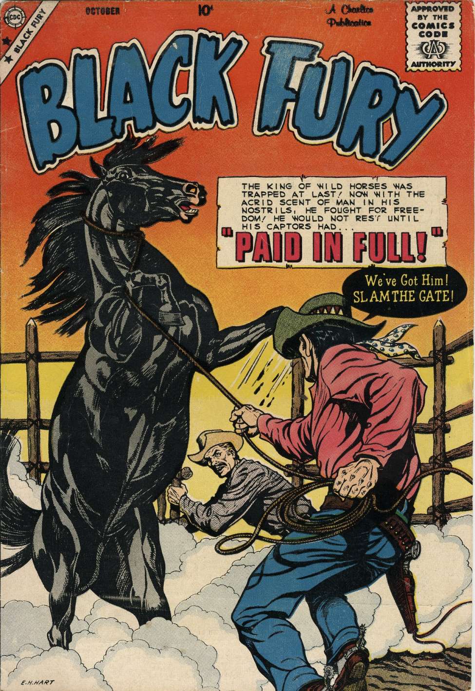 Comic Book Cover For Black Fury 21