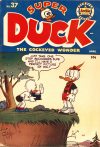 Cover For Super Duck 37