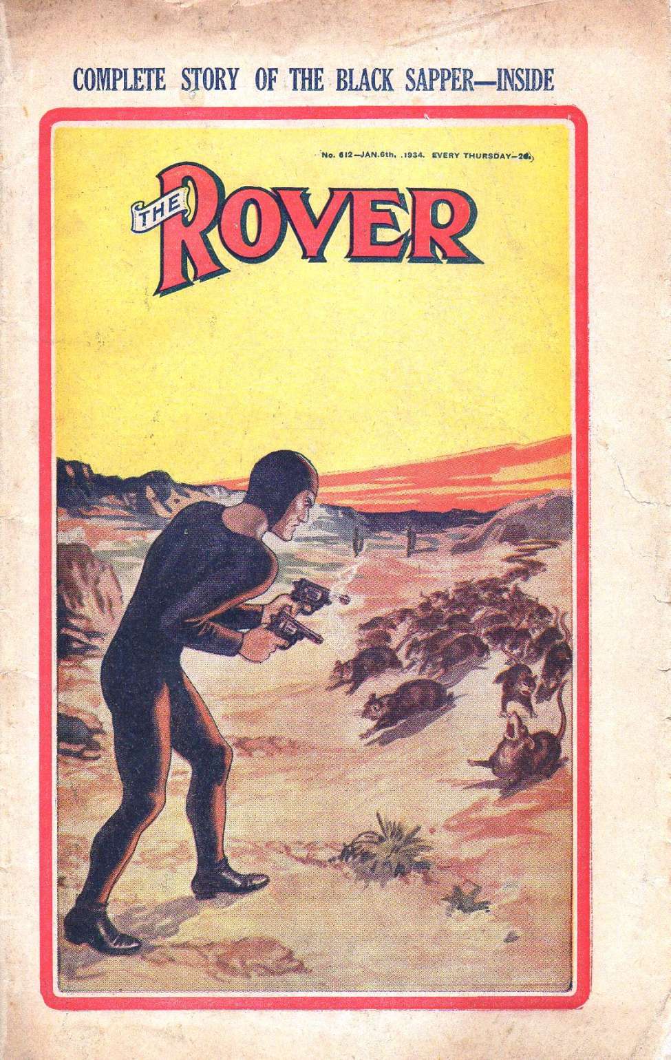 Book Cover For The Rover 612