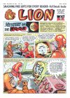 Cover For Lion 247