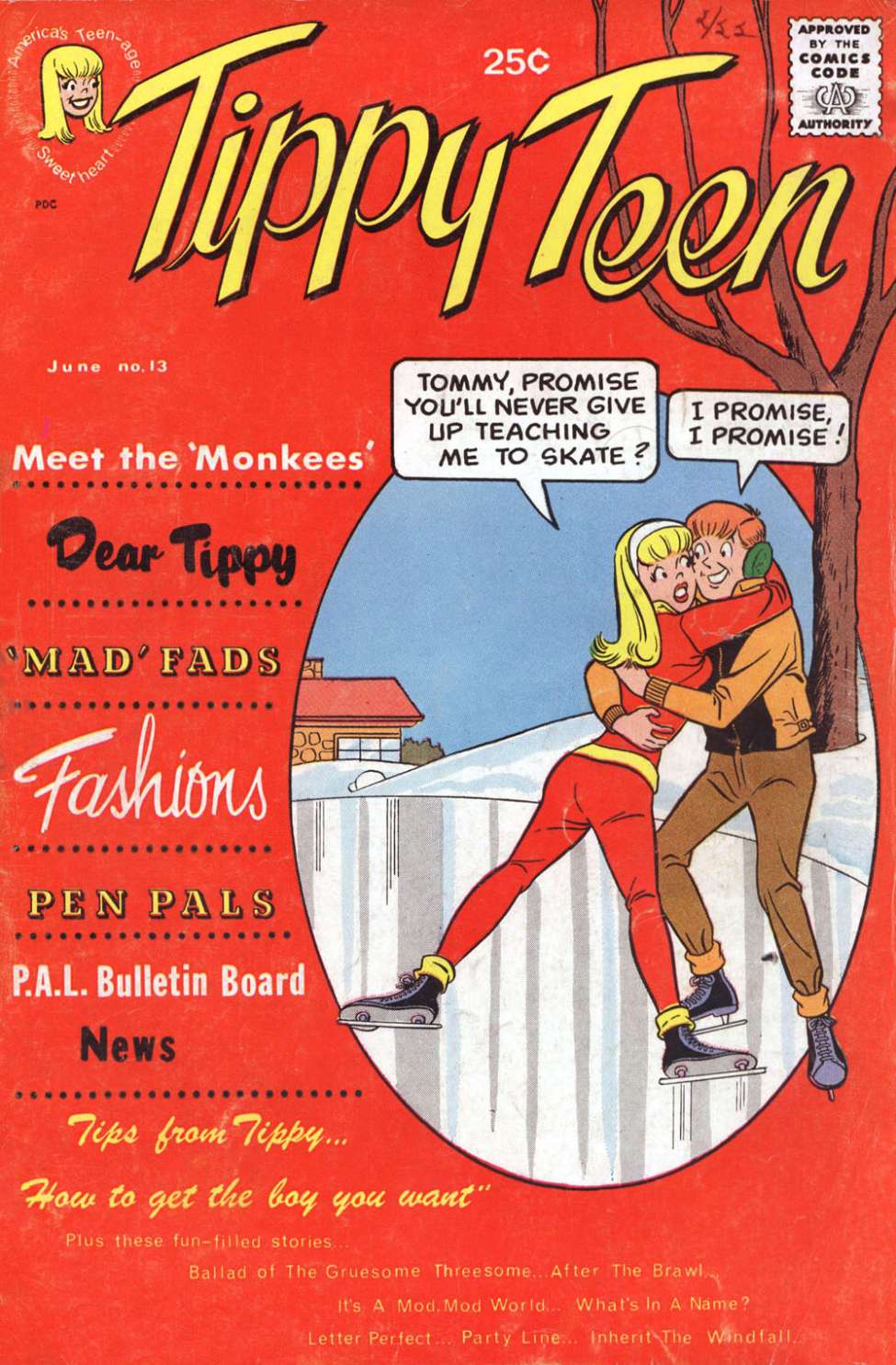 Comic Book Cover For Tippy Teen 13