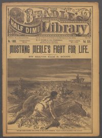 Large Thumbnail For Beadle's Half Dime Library 1089 - Mustang Merle's Fight for Life