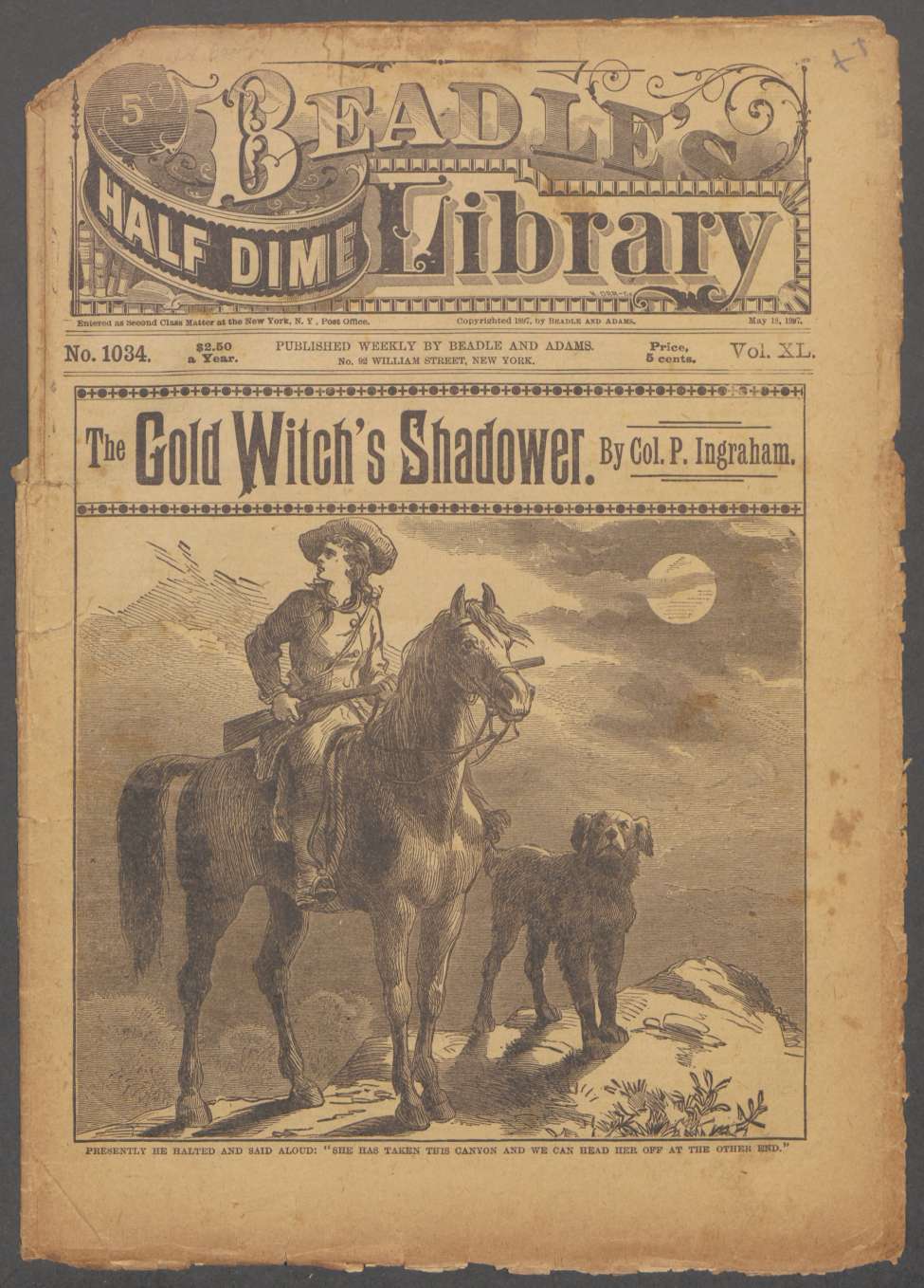 Book Cover For Beadle's Half Dime Library 1034 - The Gold Witch's Shadower