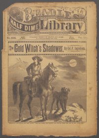 Large Thumbnail For Beadle's Half Dime Library 1034 - The Gold Witch's Shadower