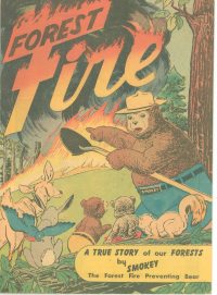 Large Thumbnail For Forest Fire (1949)