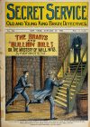 Cover For Secret Service 314 - The Bradys and Bullion Bill