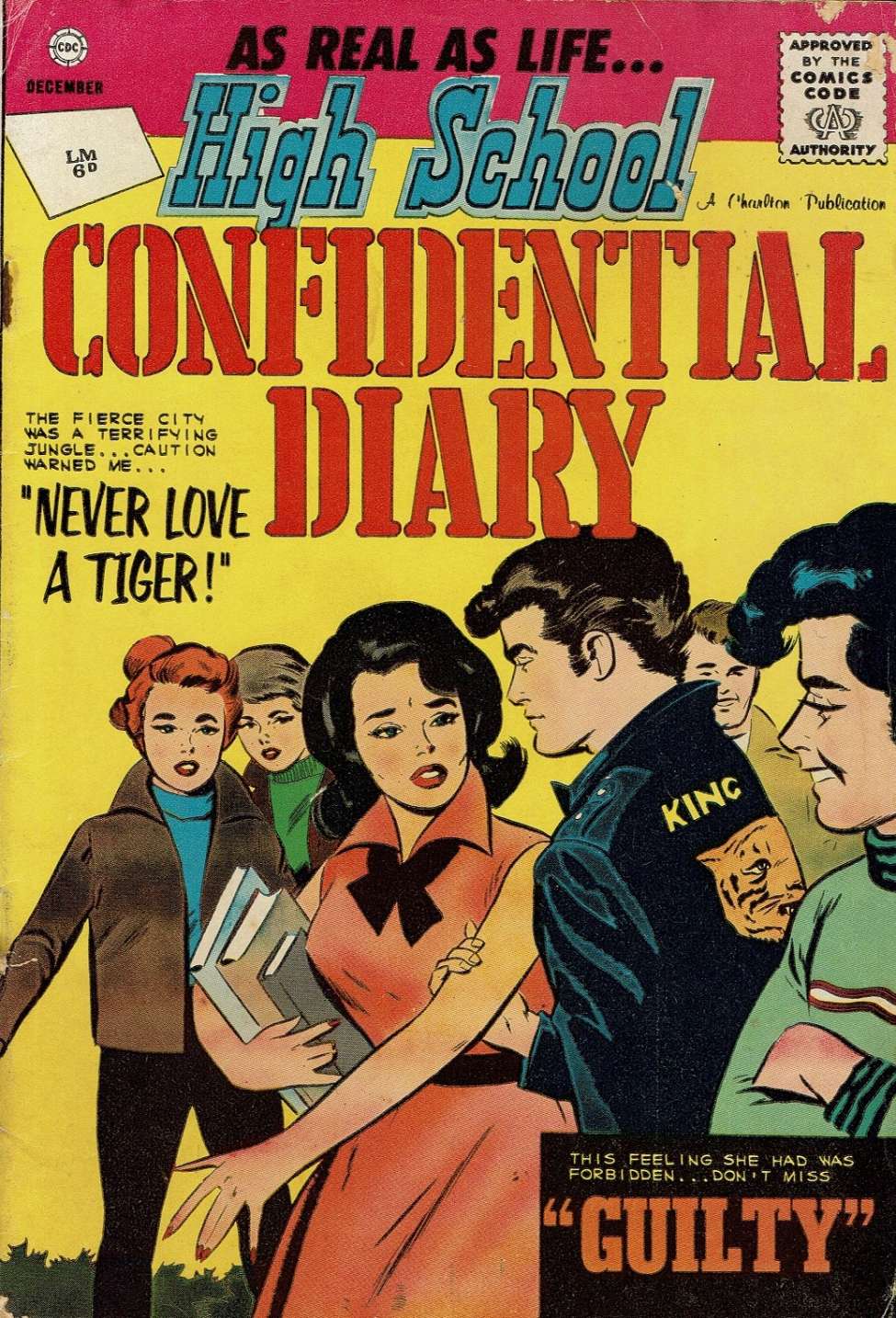 Book Cover For High School Confidential Diary 10