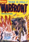 Cover For Warfront 21