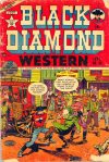 Cover For Black Diamond Western 38