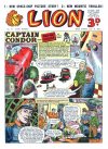 Cover For Lion 73