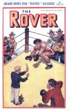 Cover For The Rover 1025