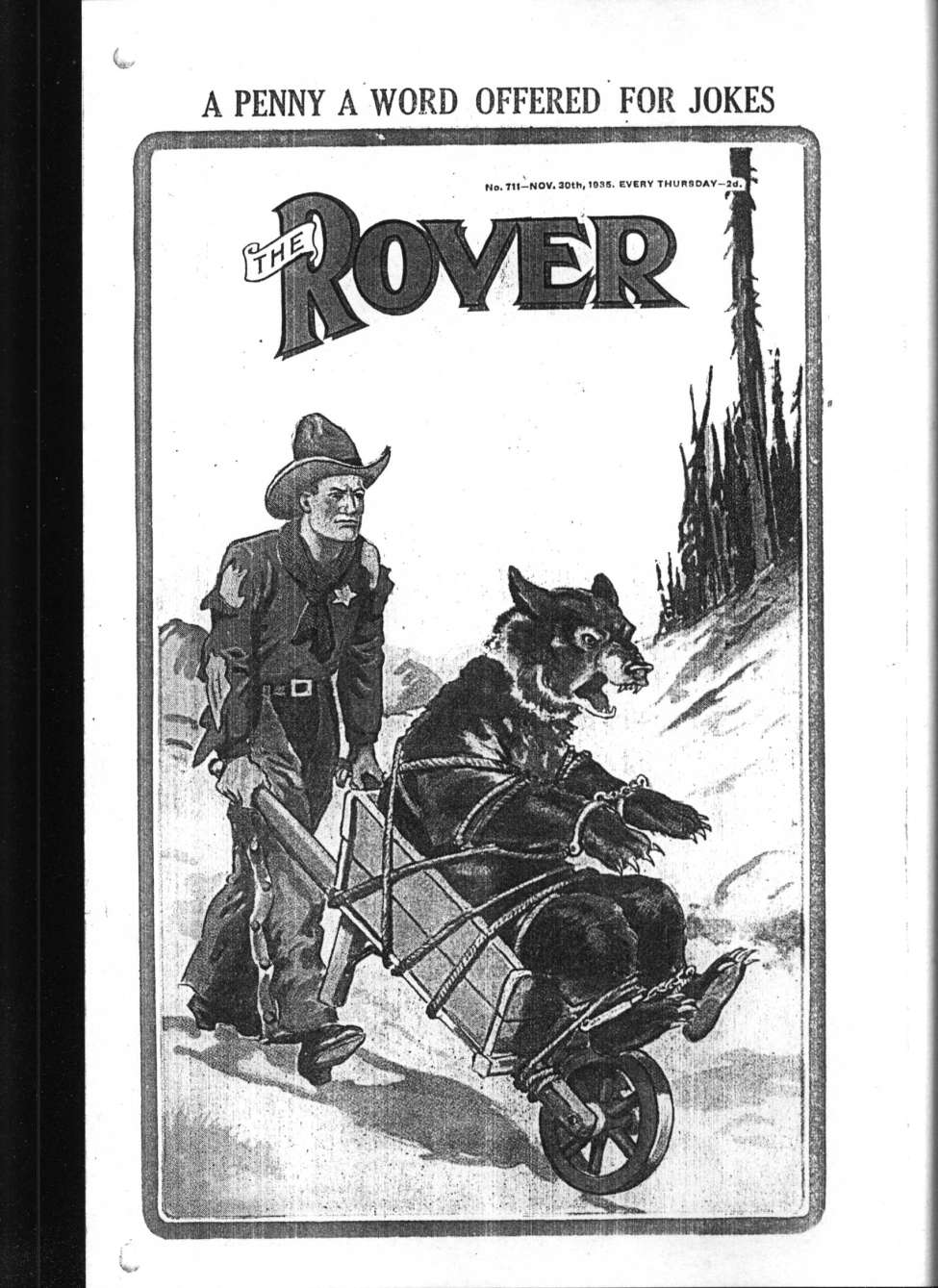 Book Cover For The Rover 711