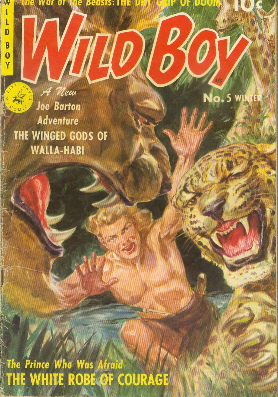 Comic Book Cover For Wild Boy 5