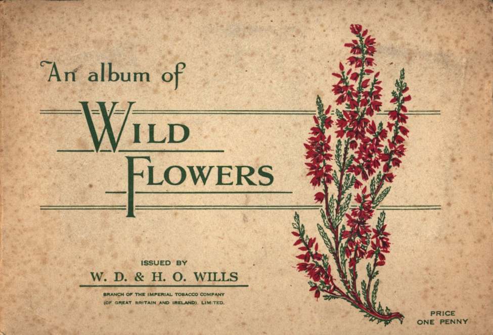 Book Cover For Wills Wild Flowers Cards 1 1936