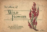 Large Thumbnail For Wills Wild Flowers Cards 1 1936