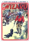 Cover For The Wizard 795